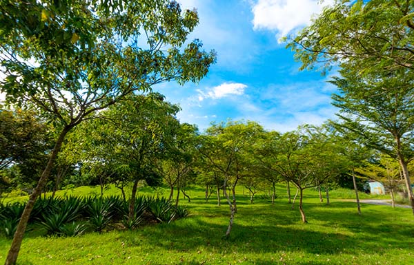 Valley of Peace features