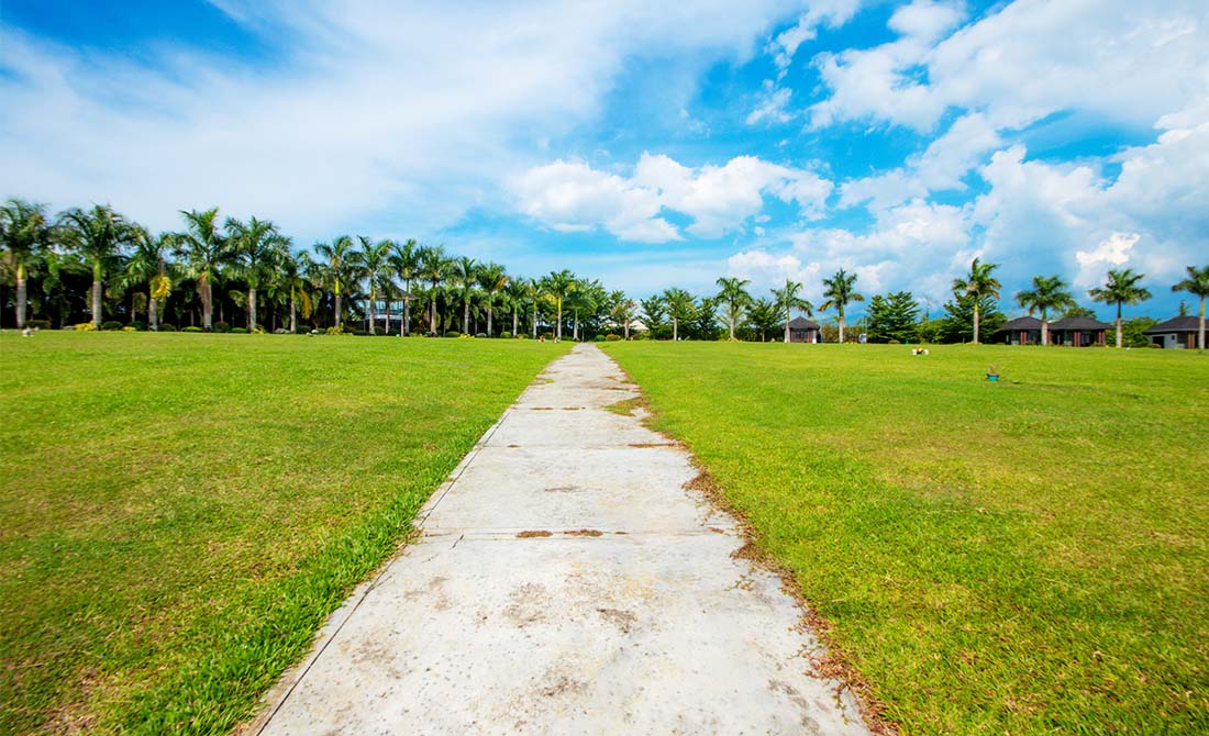 3Lawn Lots -One Lotter -VOP