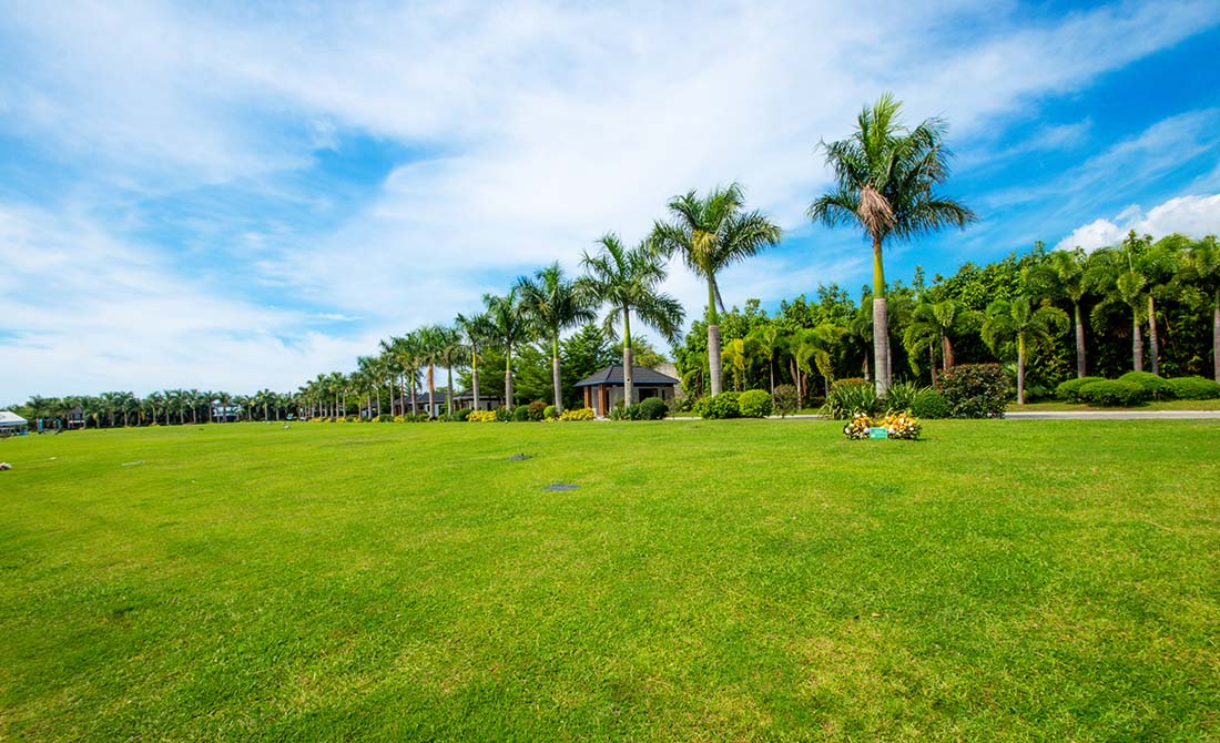 5Lawn Lots -One Lotter -VOP
