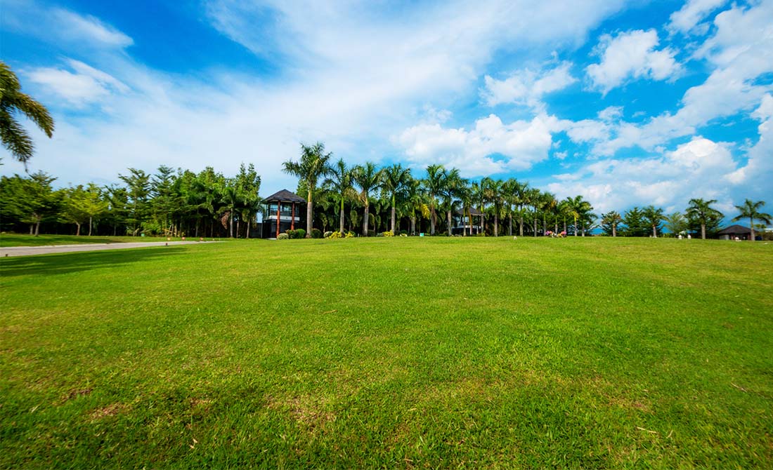 6Lawn Lots -One Lotter -VOP