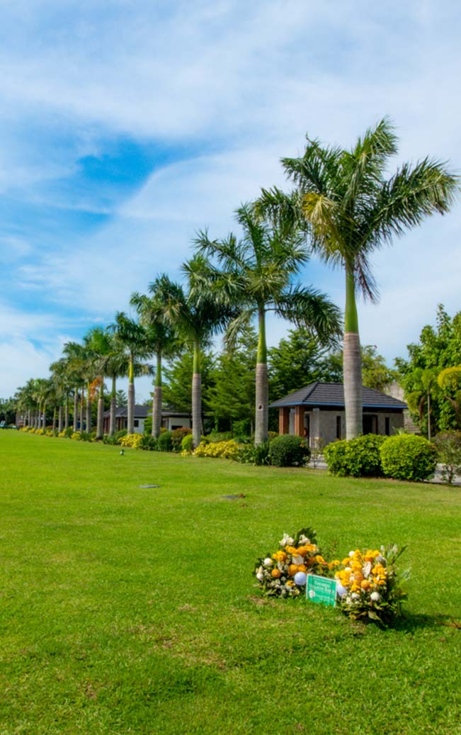 Lawn